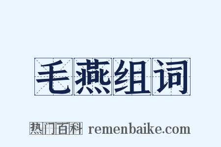 毛燕组词是什么意思的图片